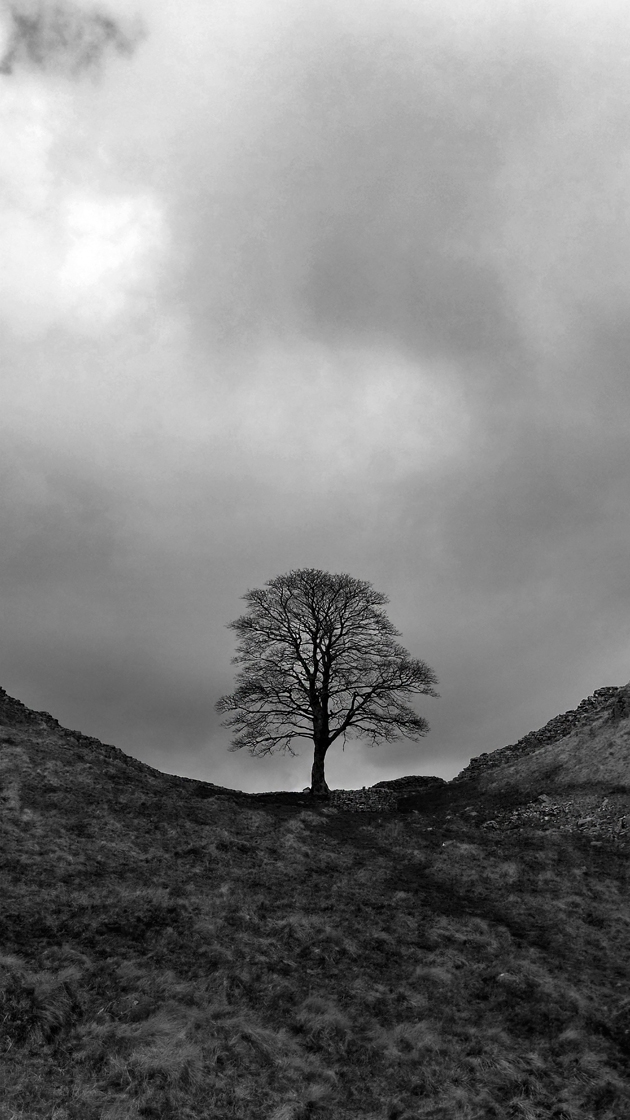 Hadrians Wall, Sycamore Gap