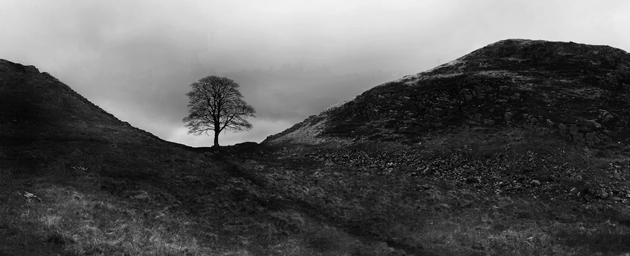 Hadrians Wall, Sycamore Gap